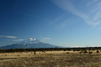 DSC_3021 (Large).JPG